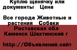 Куплю щенячку или документы › Цена ­ 3 000 - Все города Животные и растения » Собаки   . Ростовская обл.,Каменск-Шахтинский г.